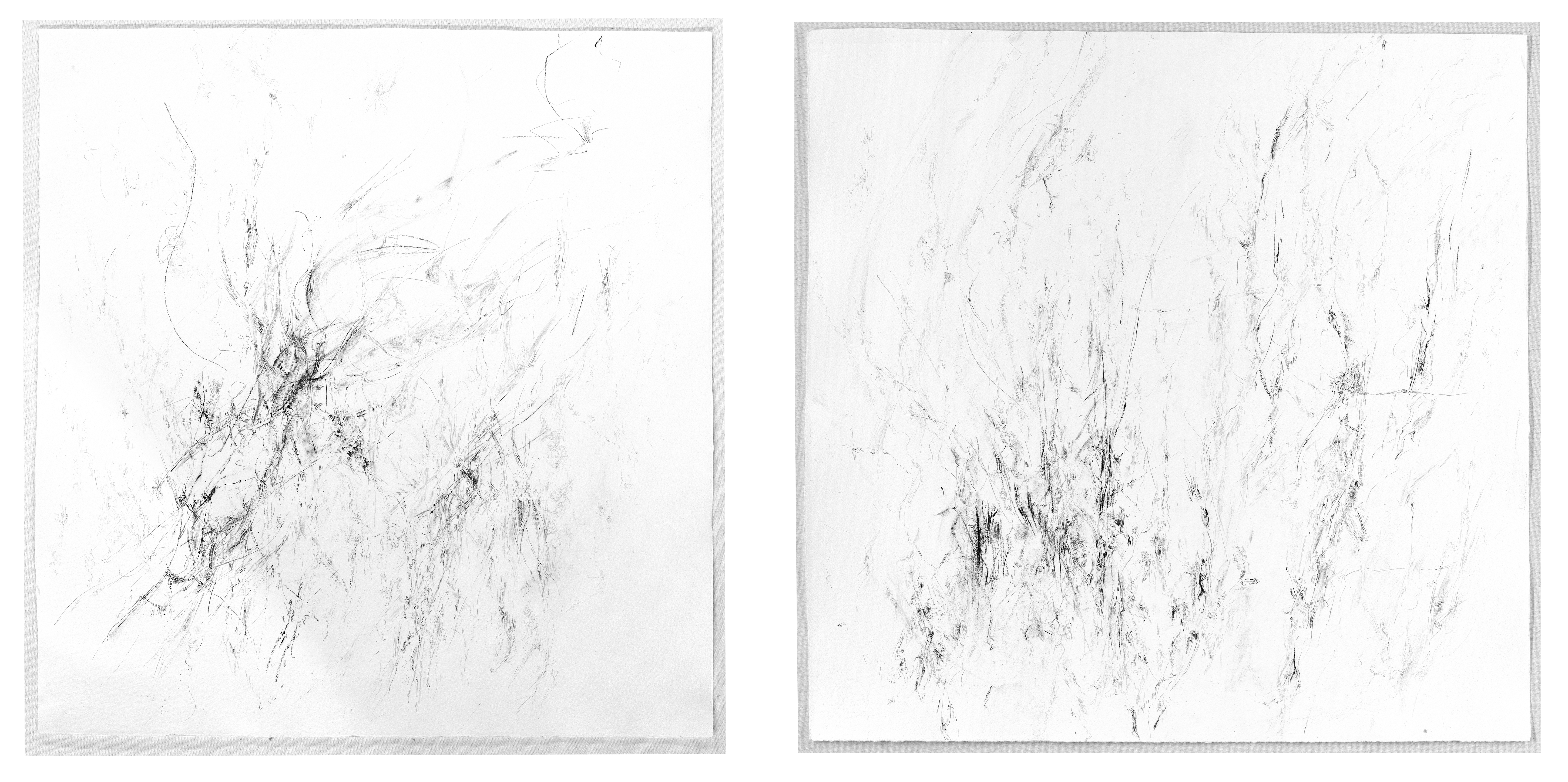 Indian ink, charcoal, pencil in paper
50 x 57 and 52 x 48,
2014